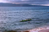 A canoe in front of the Maui Kai